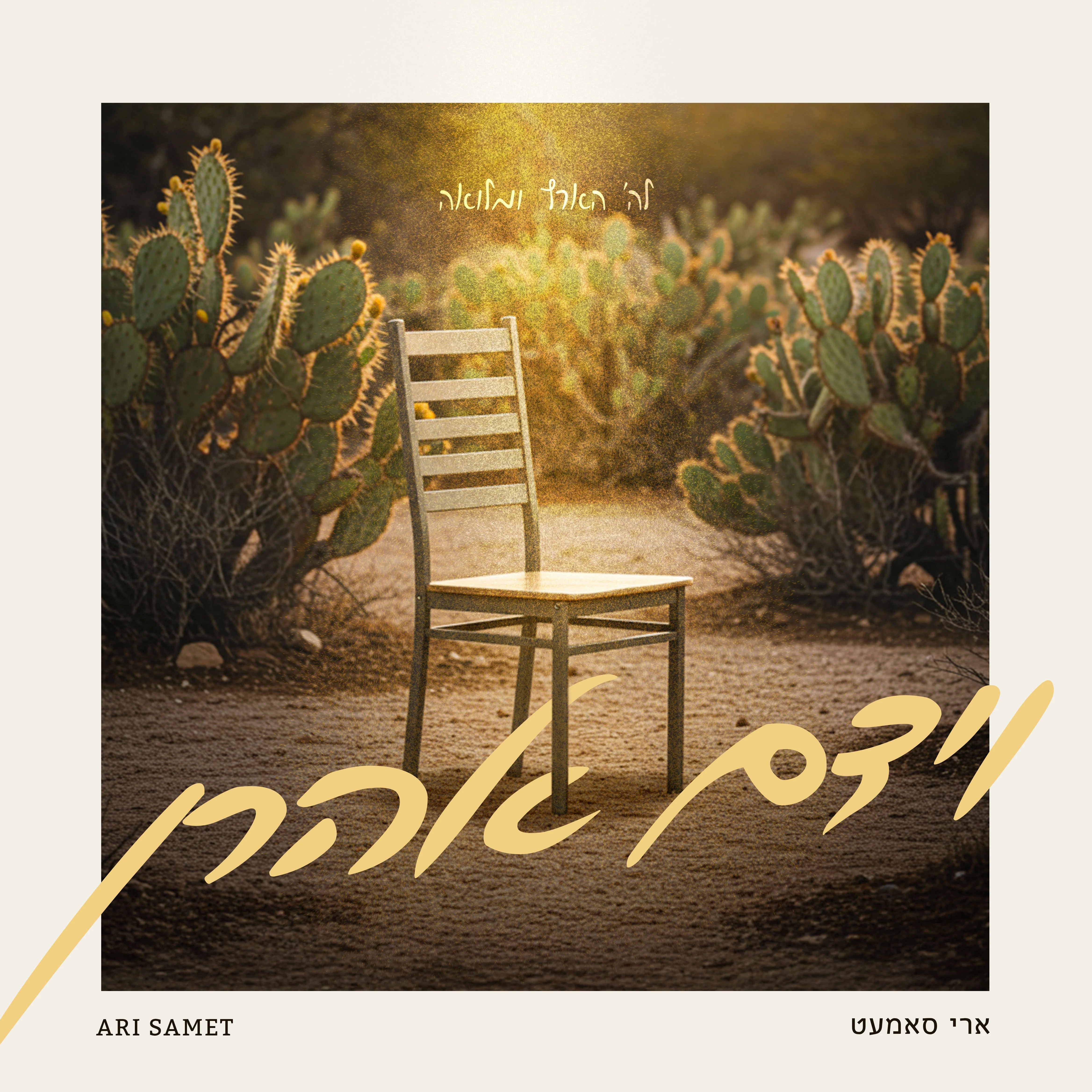 ארי סאמעט - וידם אהרן.jpg