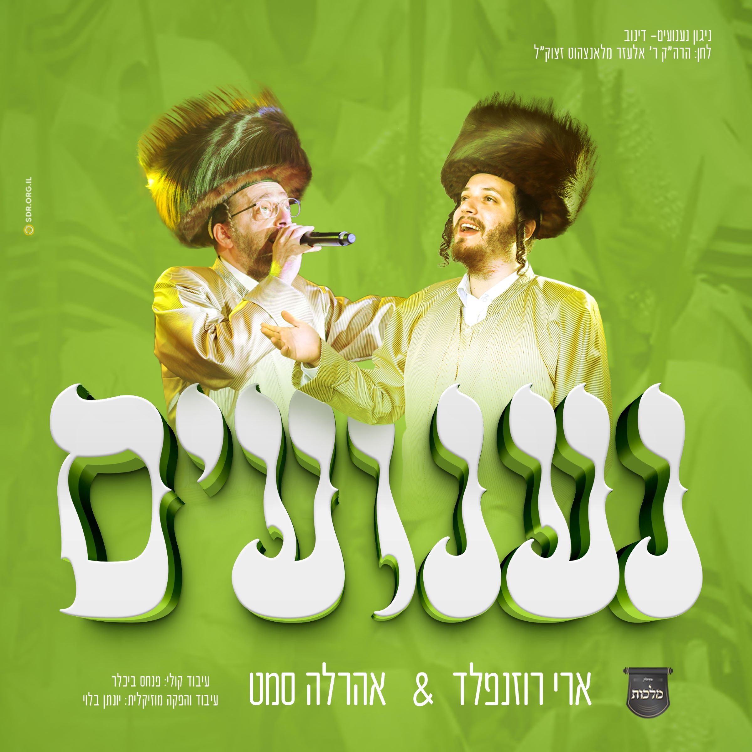 ארי רוזנפלד & אהר'לע סאמעט - ניגון נענועים.jpg