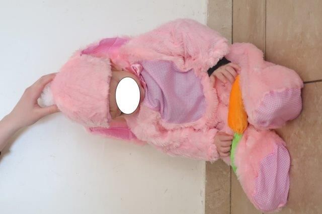 ארנבת ורודה.jpg