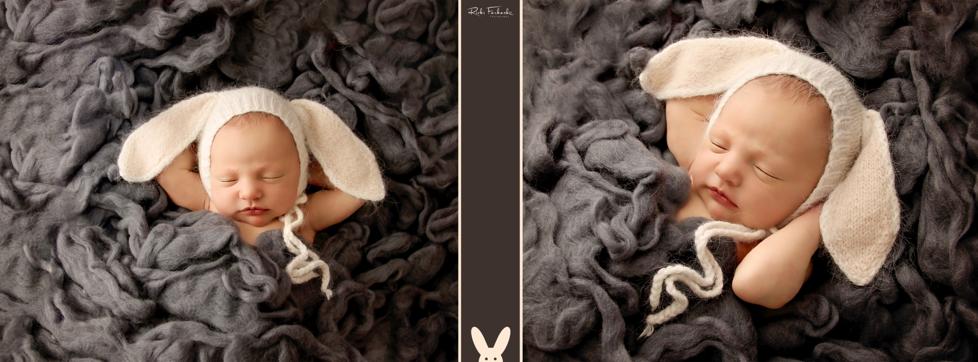 ארנב (Large).jpg