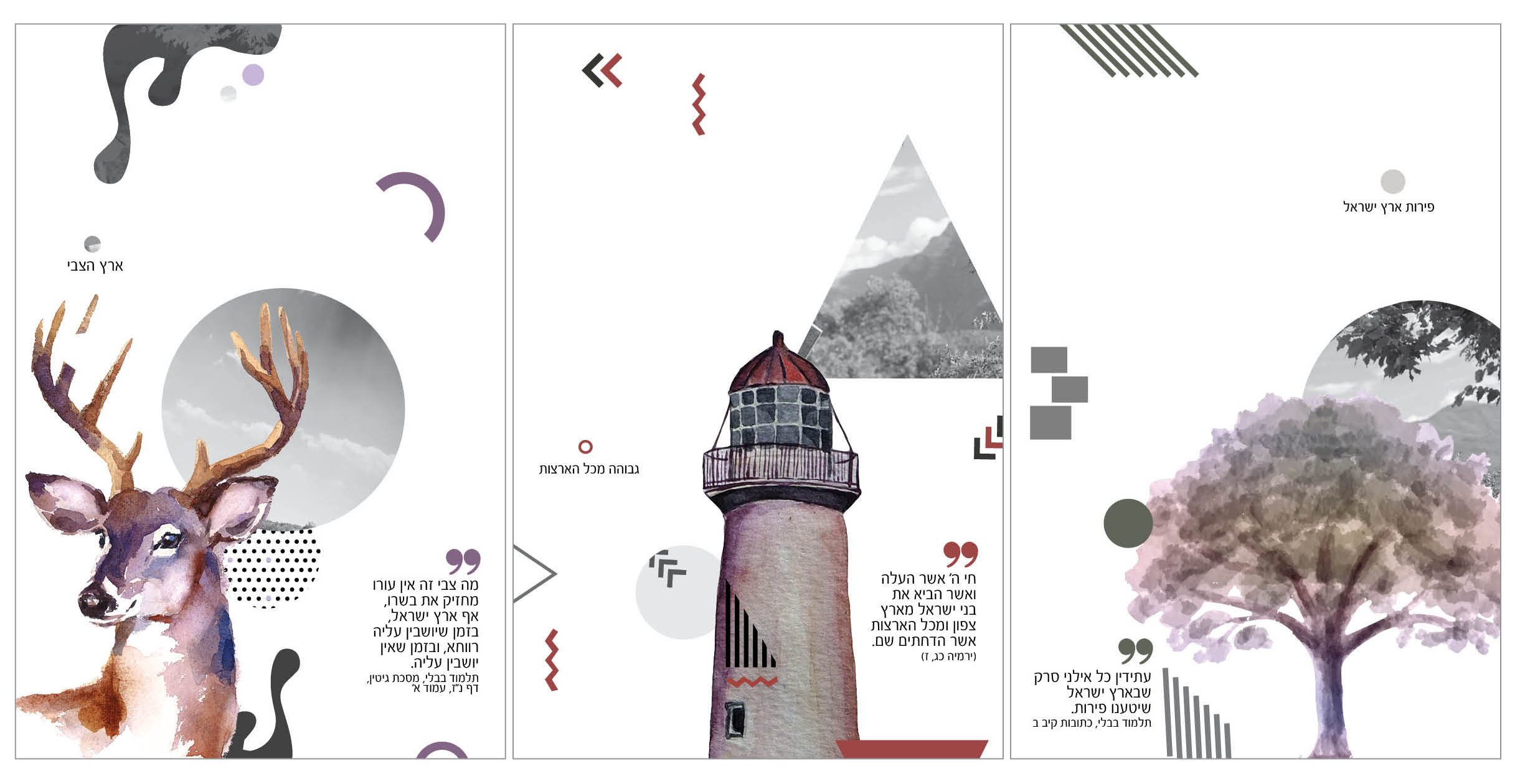 ארץ ישראל.jpg