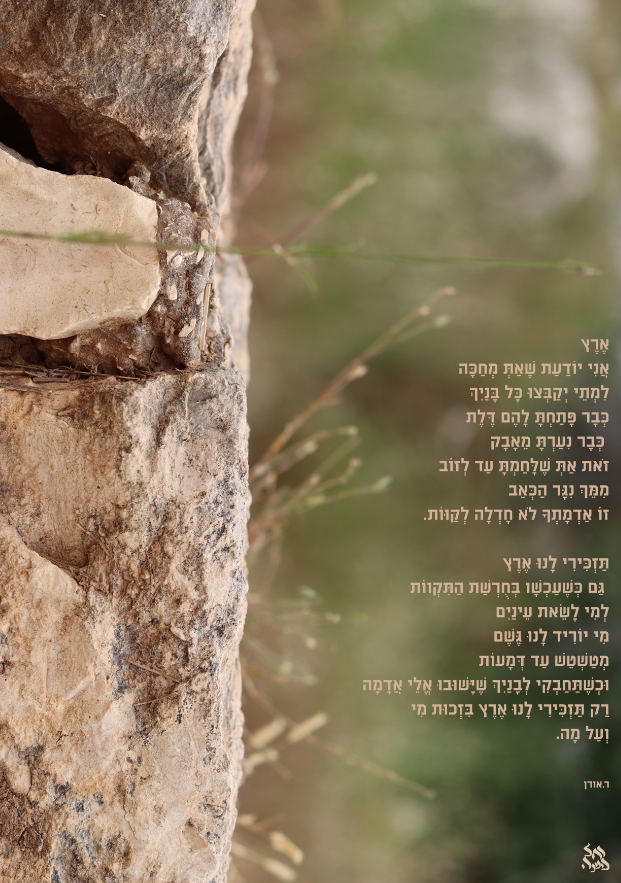 ארץ מחכה לבשורות.ר.אורן.png