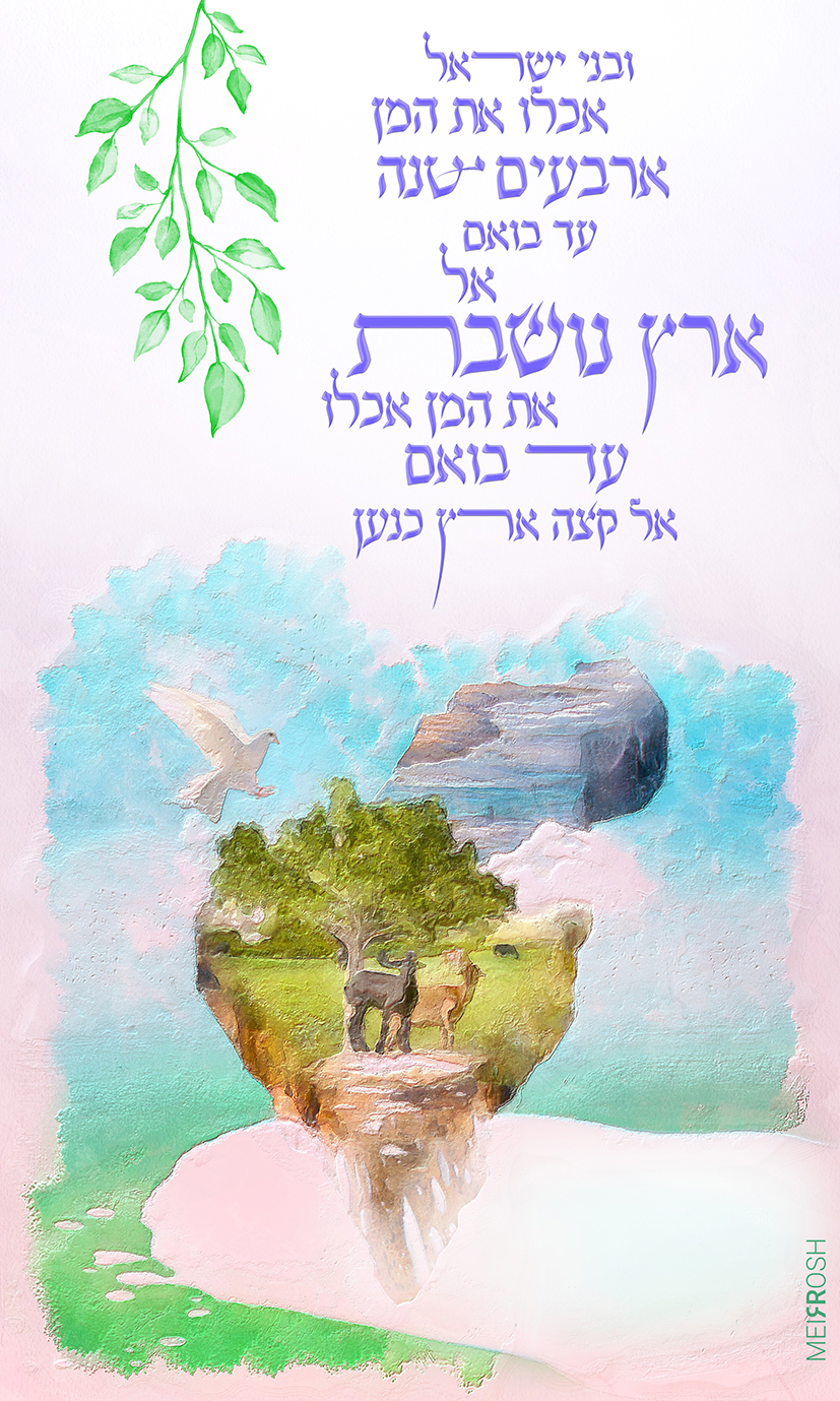 ארץ נושבת MeirRoshDesign חדש.jpg