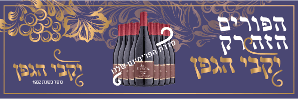 אתגר הפוך-04.png