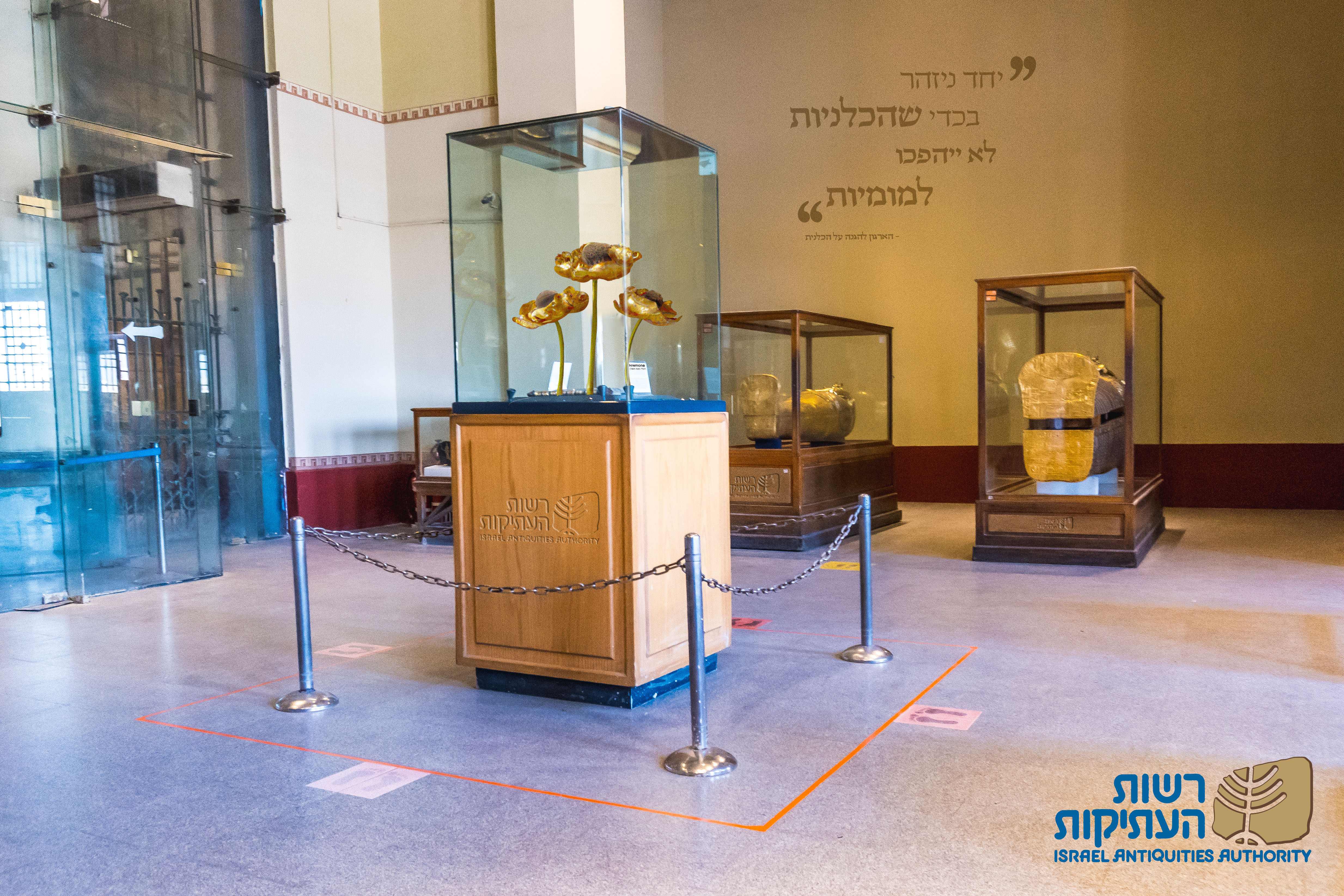 אתגר כלנית copy.jpg