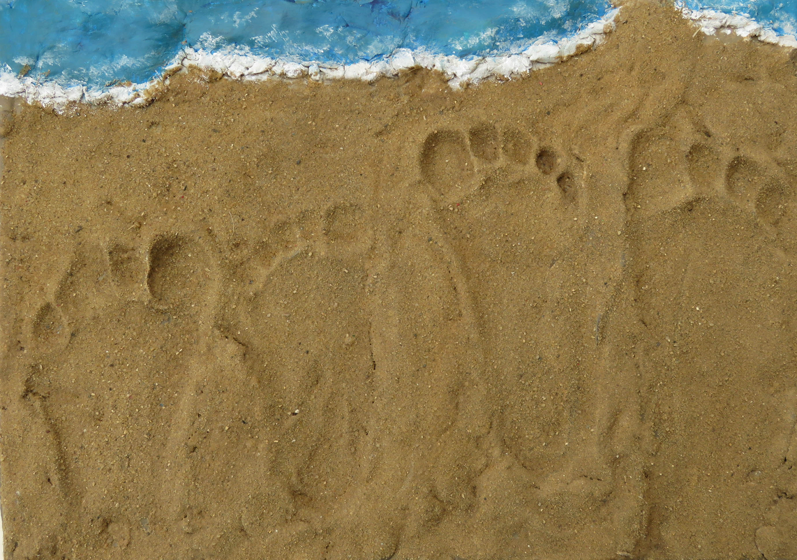 אתגר משפחה וטבע.jpg