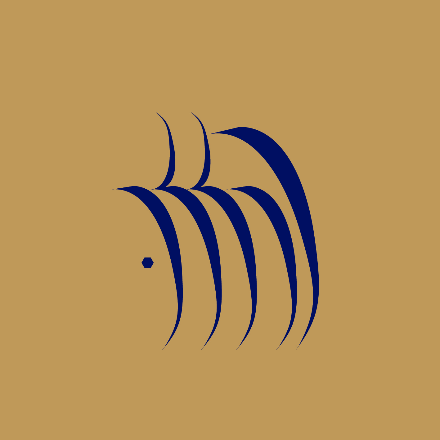 אתגר פרוג הללו..jpg