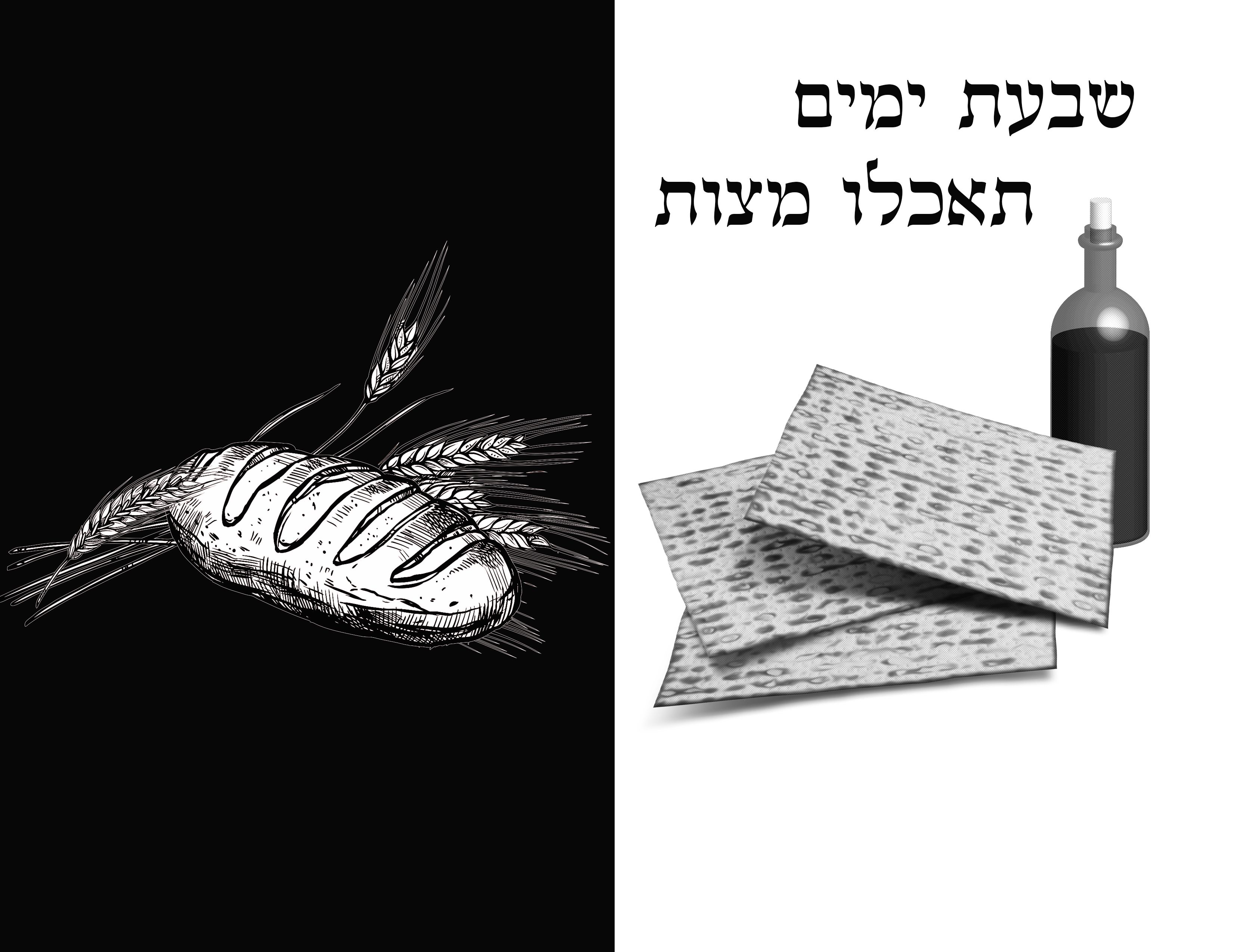 אתגר 43.jpg