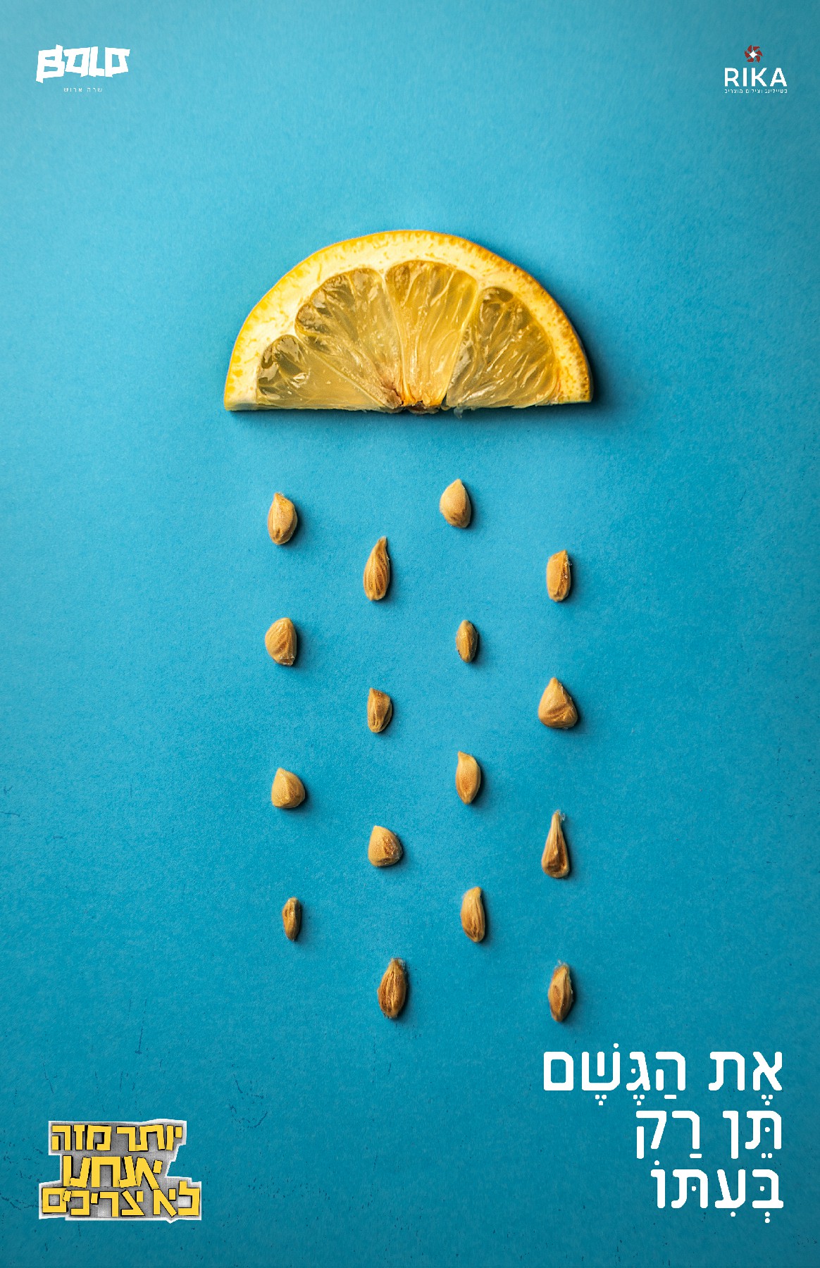 את הגשם תן רק בעיתו.jpg