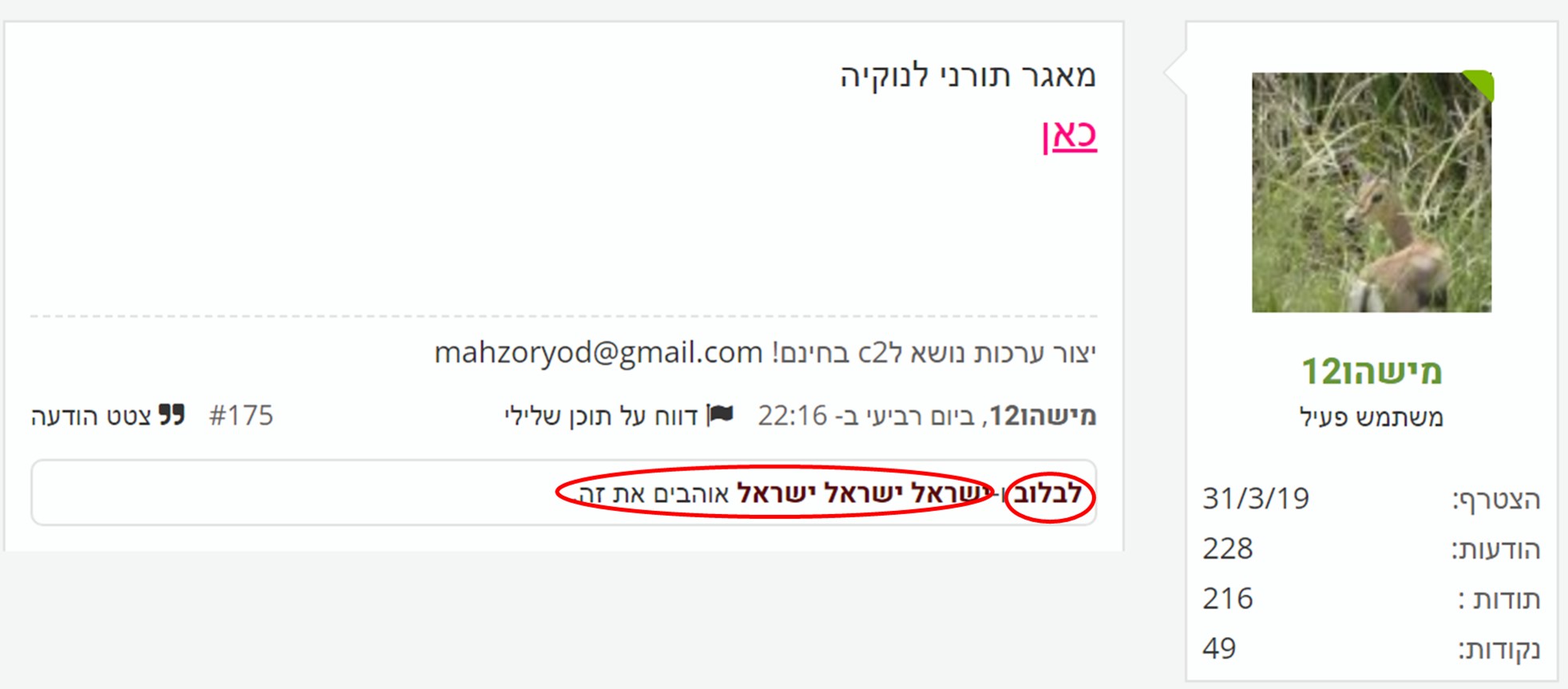 א.jpg