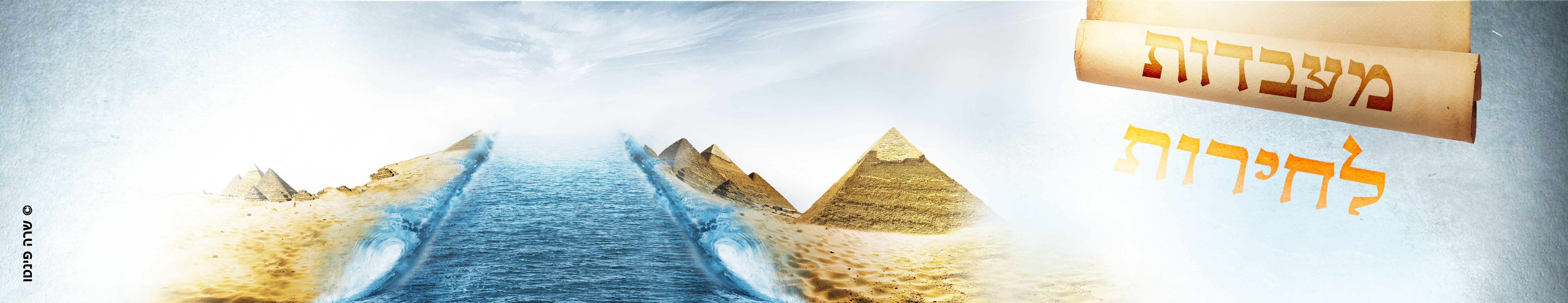 באנר.jpg