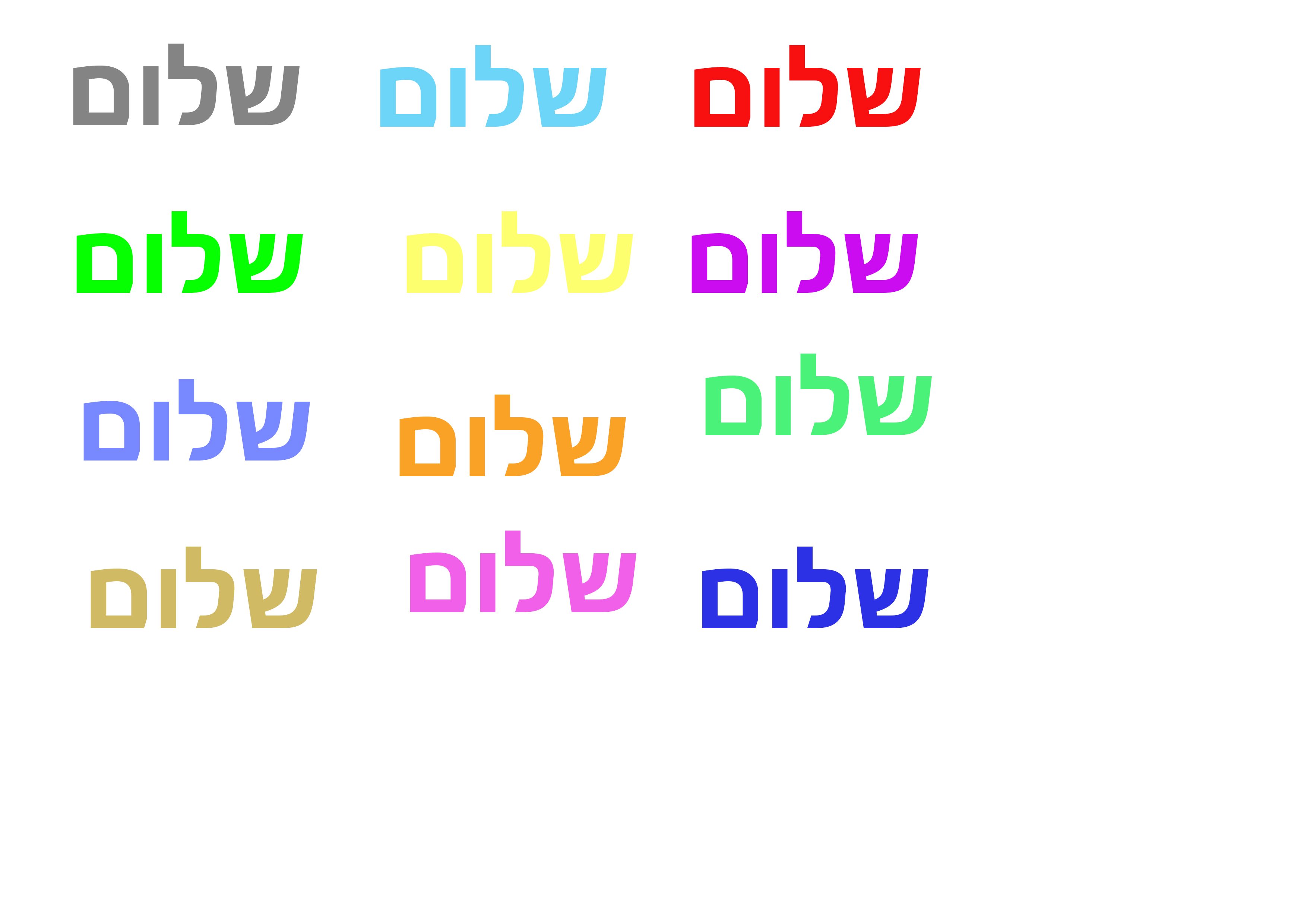 בדיקה.jpg