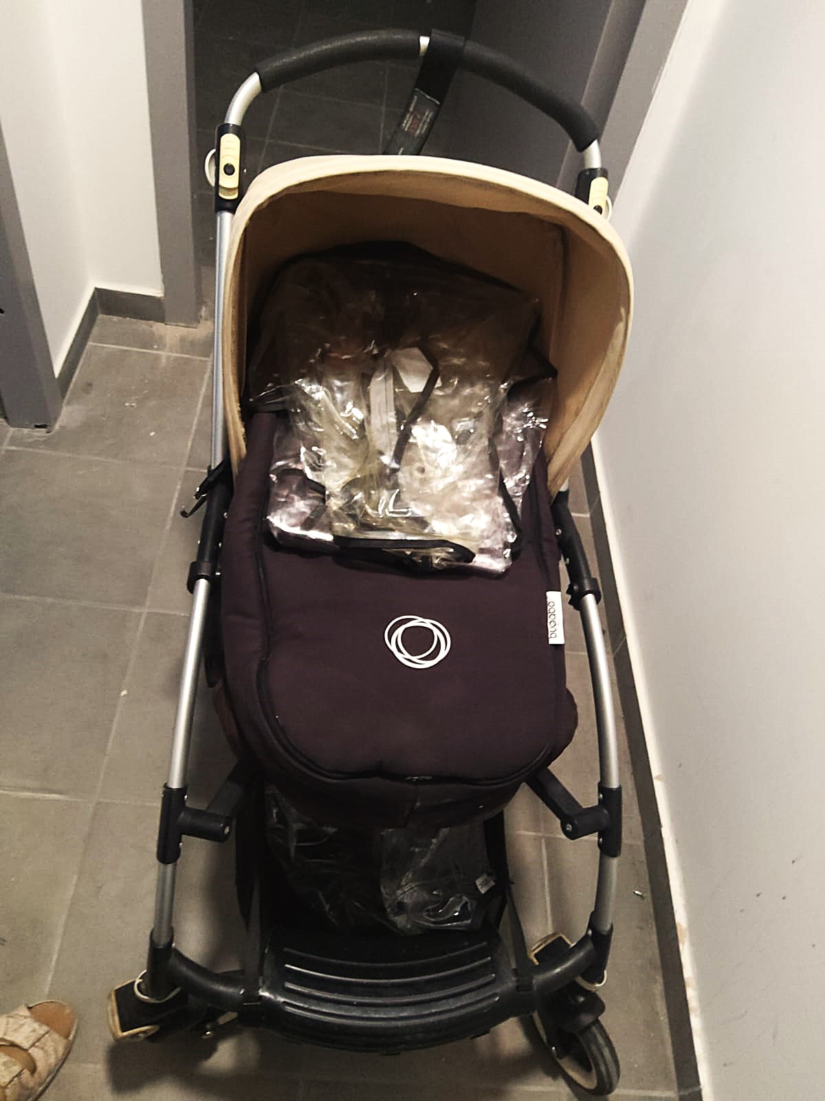 בוגבו בי (3).jpeg