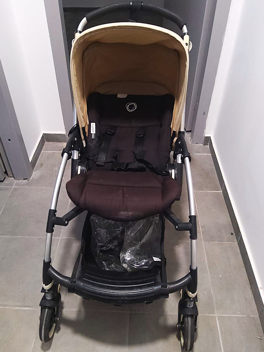 בוגבו בי (4).jpeg