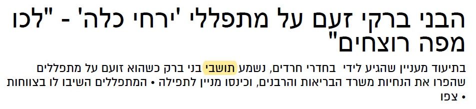 בחדרי חרדים1.jpg