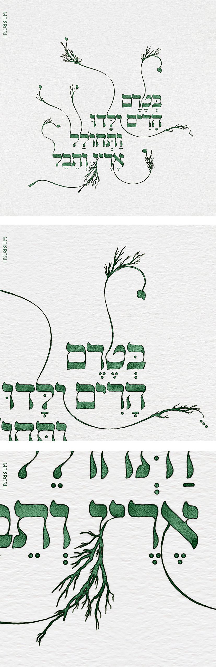 בטרם הרים יולדוMeirRoshDesign.jpg