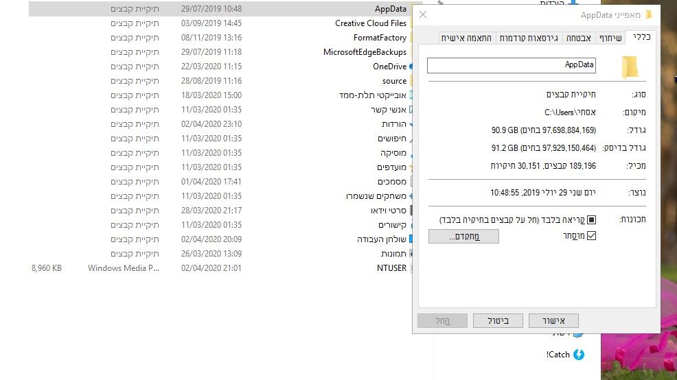 ביאור 2020-04-03 013549.jpg