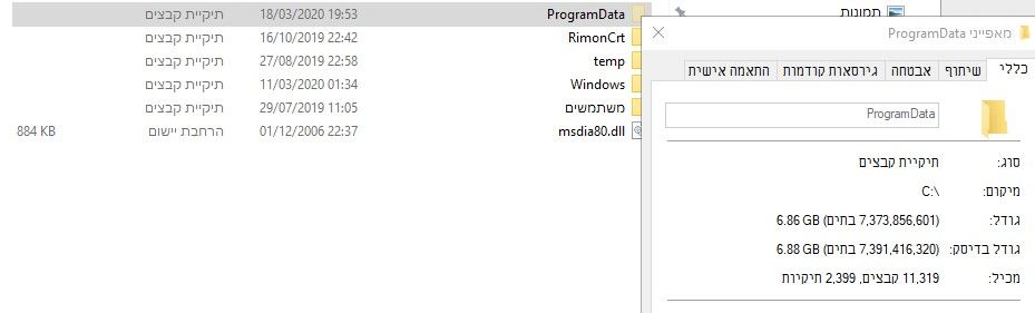 ביאור 2020-04-03 015052.jpg