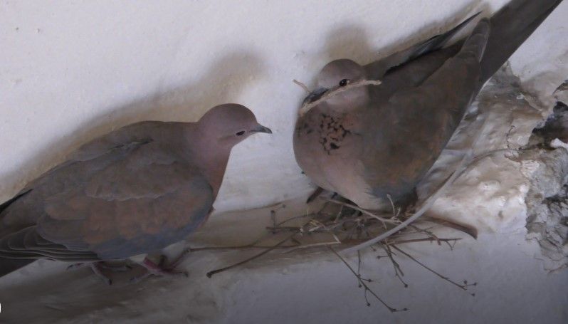 ביאור 2020-04-29 225646.jpg