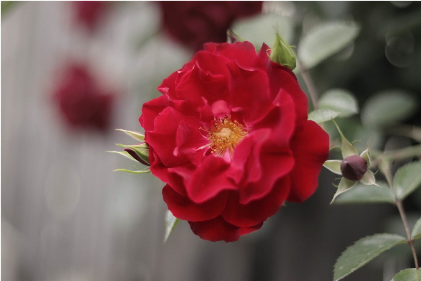 ביאור 2020-05-06 122959.jpg