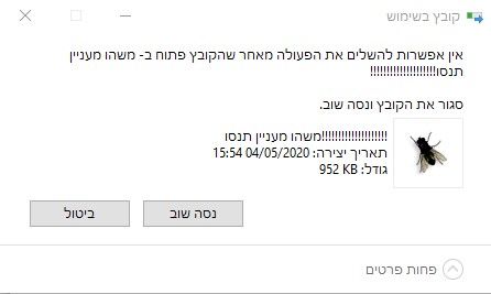 ביאור 2020-06-03 115644.jpg