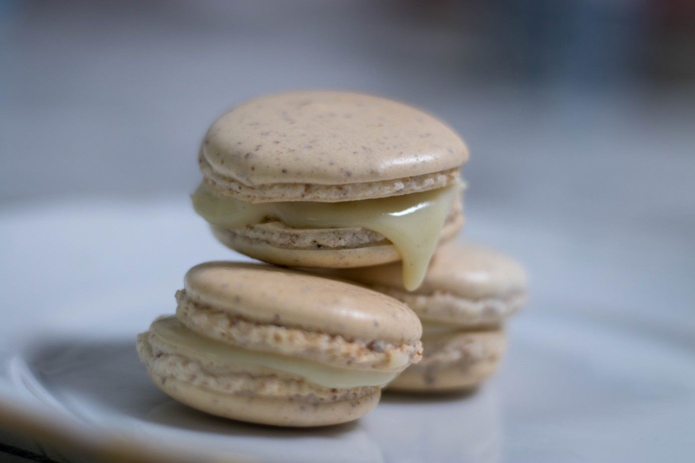 ביאור 2020-06-03 214613.jpg