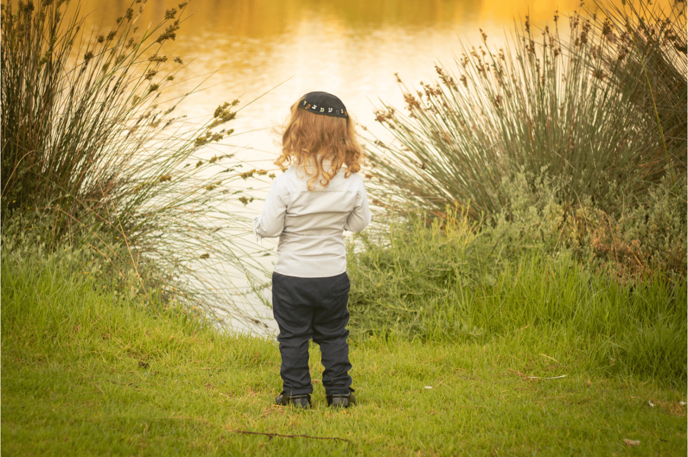 ביאור 2020-07-05 160517.png