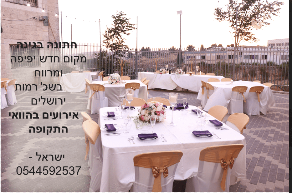 ביאור 2020-07-12 182654.png
