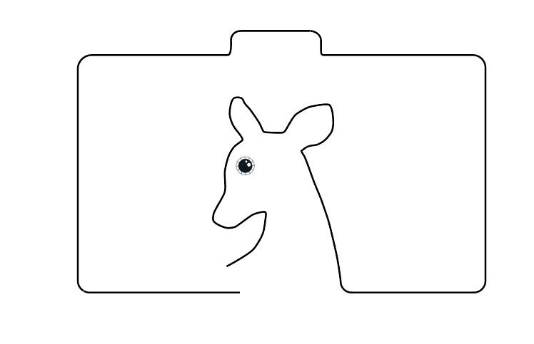 ביאור 2020-08-20 141551.jpg