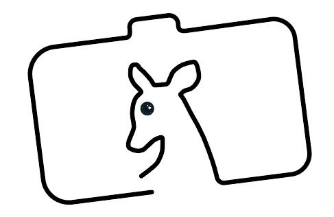 ביאור 2020-08-20 151316.jpg