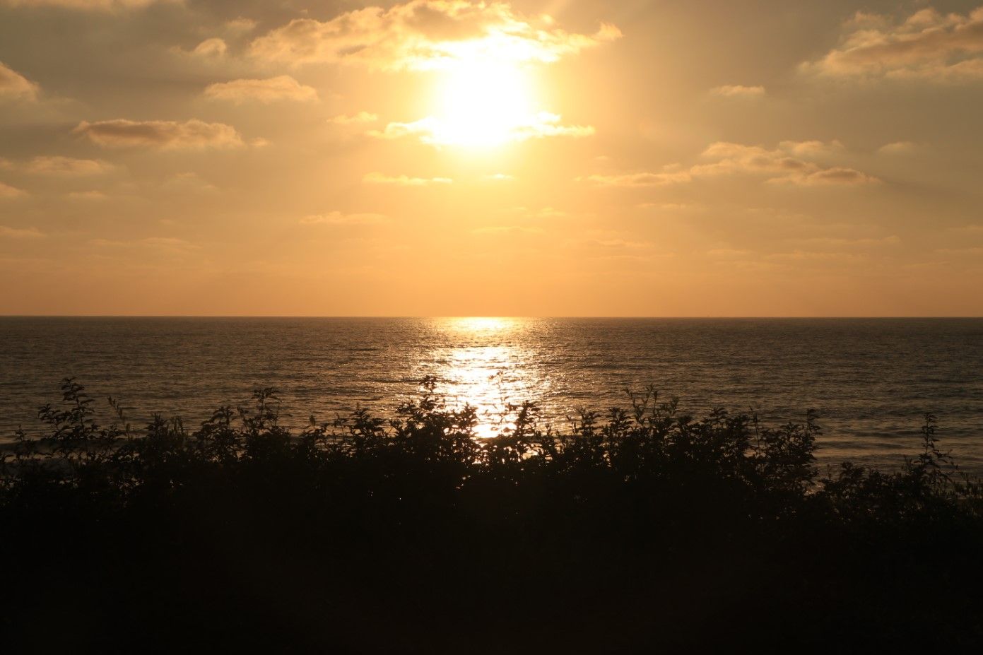 ביאור 2020-08-22 202225.jpg