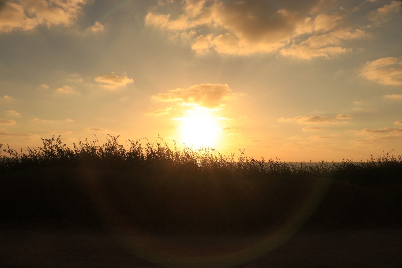 ביאור 2020-08-22 202257.jpg