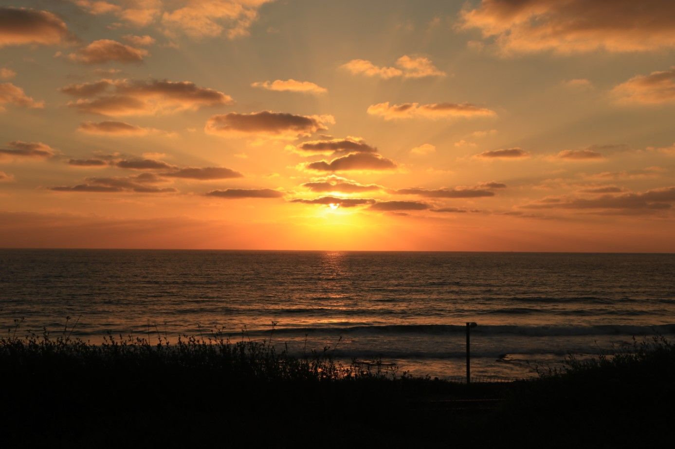 ביאור 2020-08-22 202540.jpg