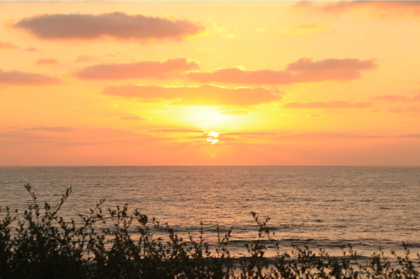 ביאור 2020-08-22 202602.jpg