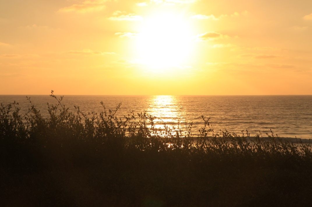 ביאור 2020-08-22 202731.jpg