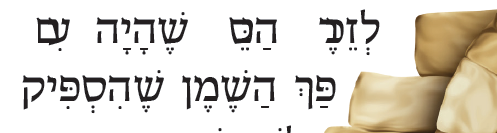 ביאור 2021-01-06 144217.png