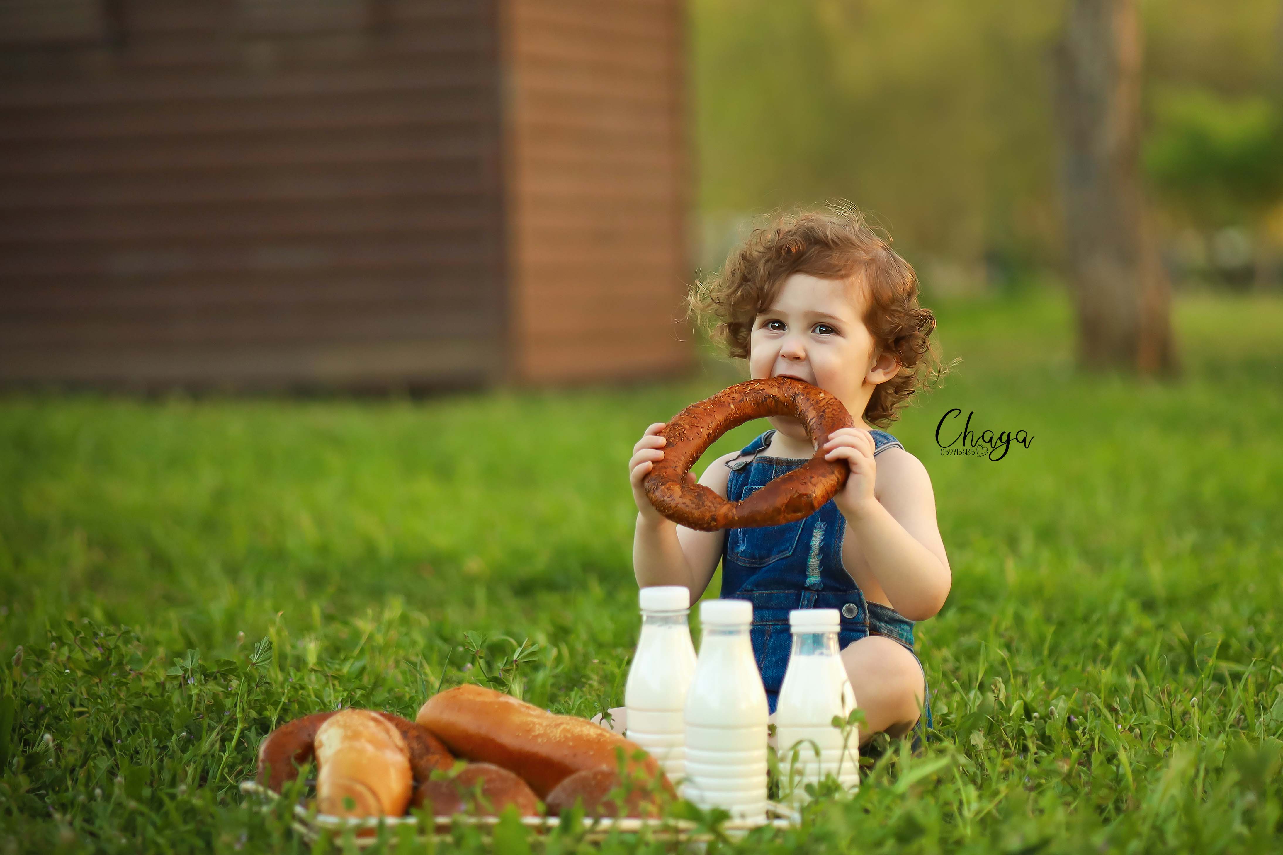 ביגל נגוס11 copy 3.jpg