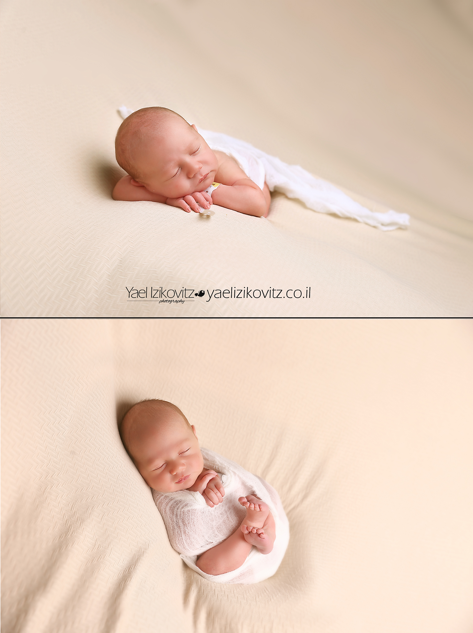 בייבי כפול.jpg מוקטן.jpg