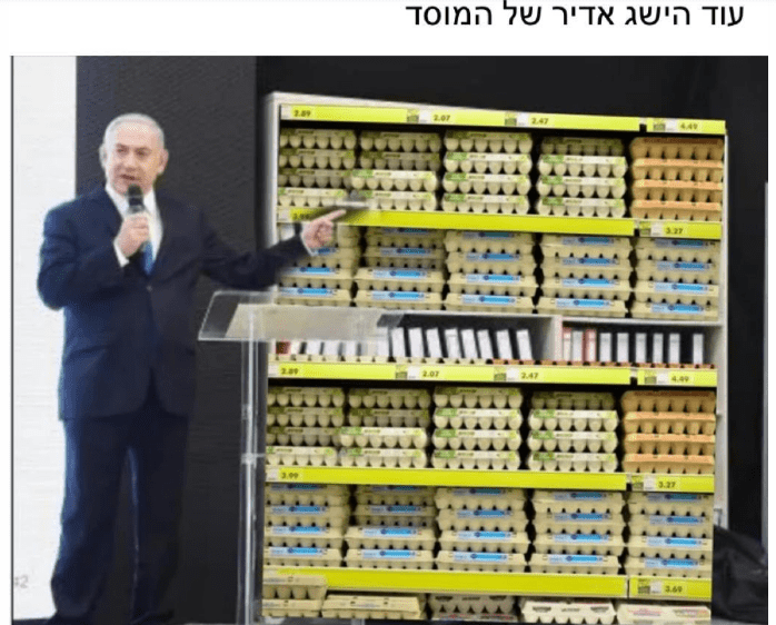 ביצים.png