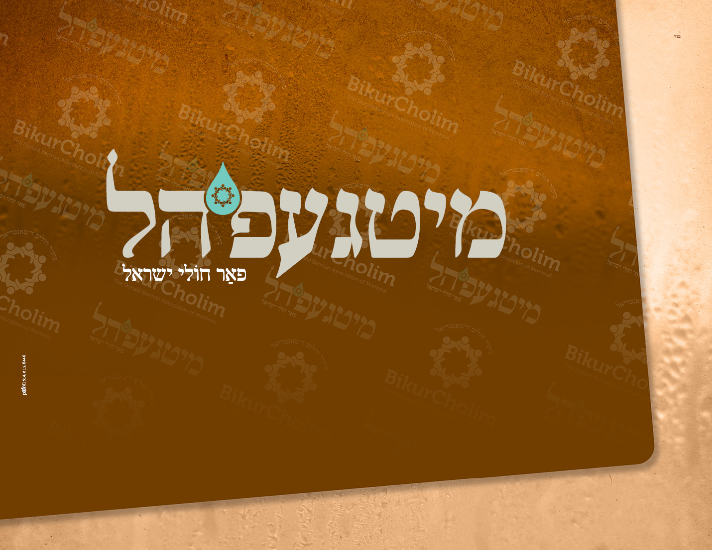 ביקור חולים מאנטריאל2.jpg