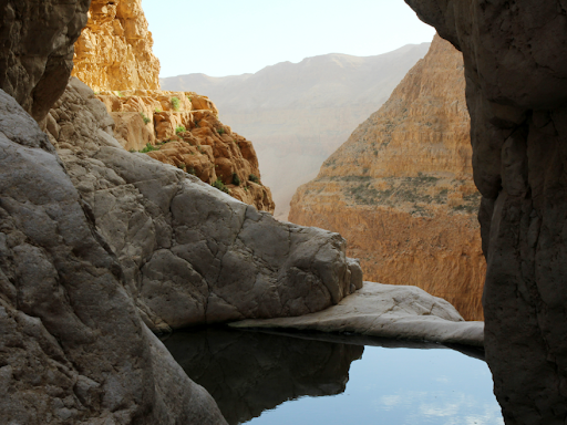 בירכת צפירה.png