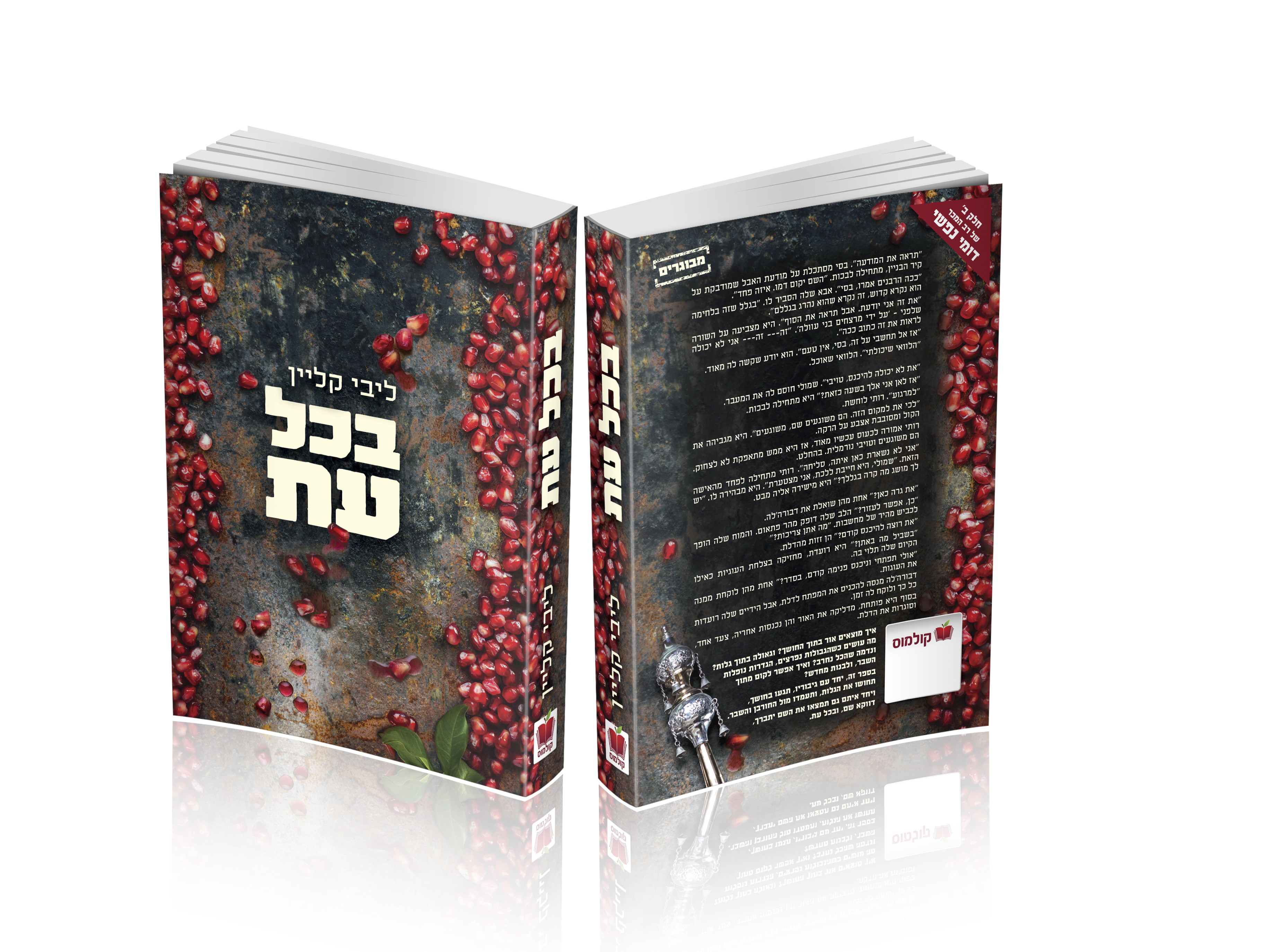 בכל עת הדמיה.png