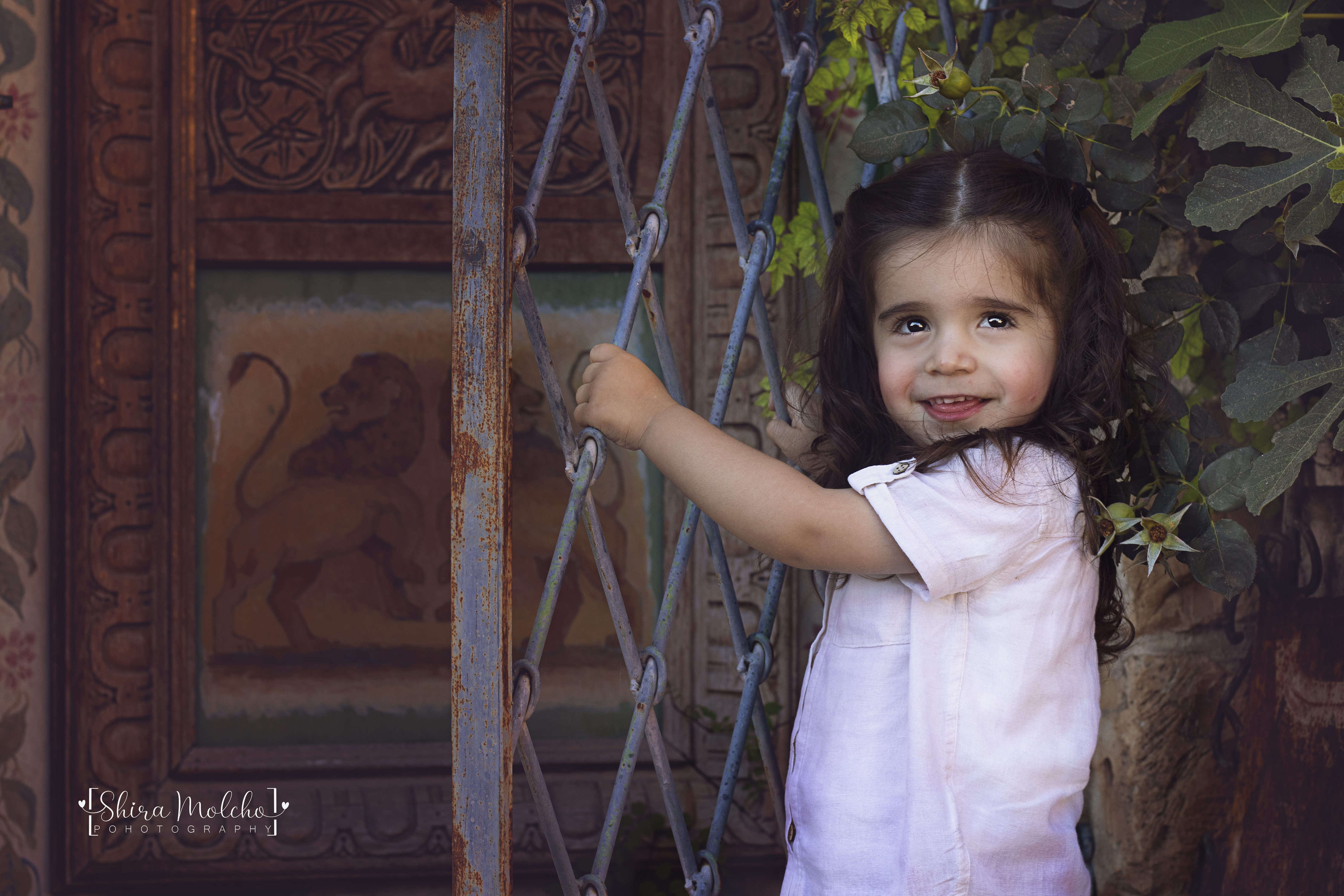 בנימין מוקטן.jpg