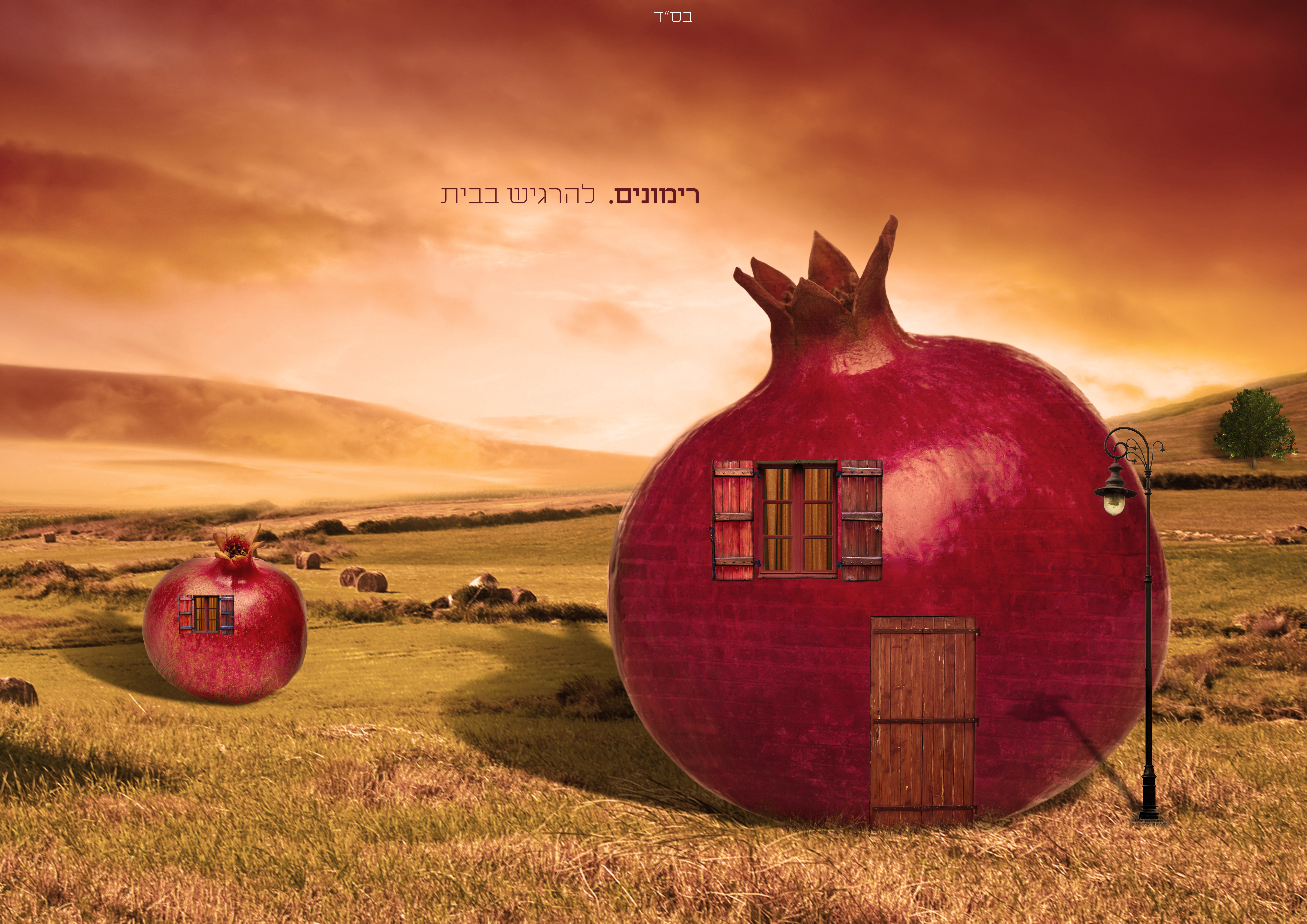 בסד ביצוע 2.jpg