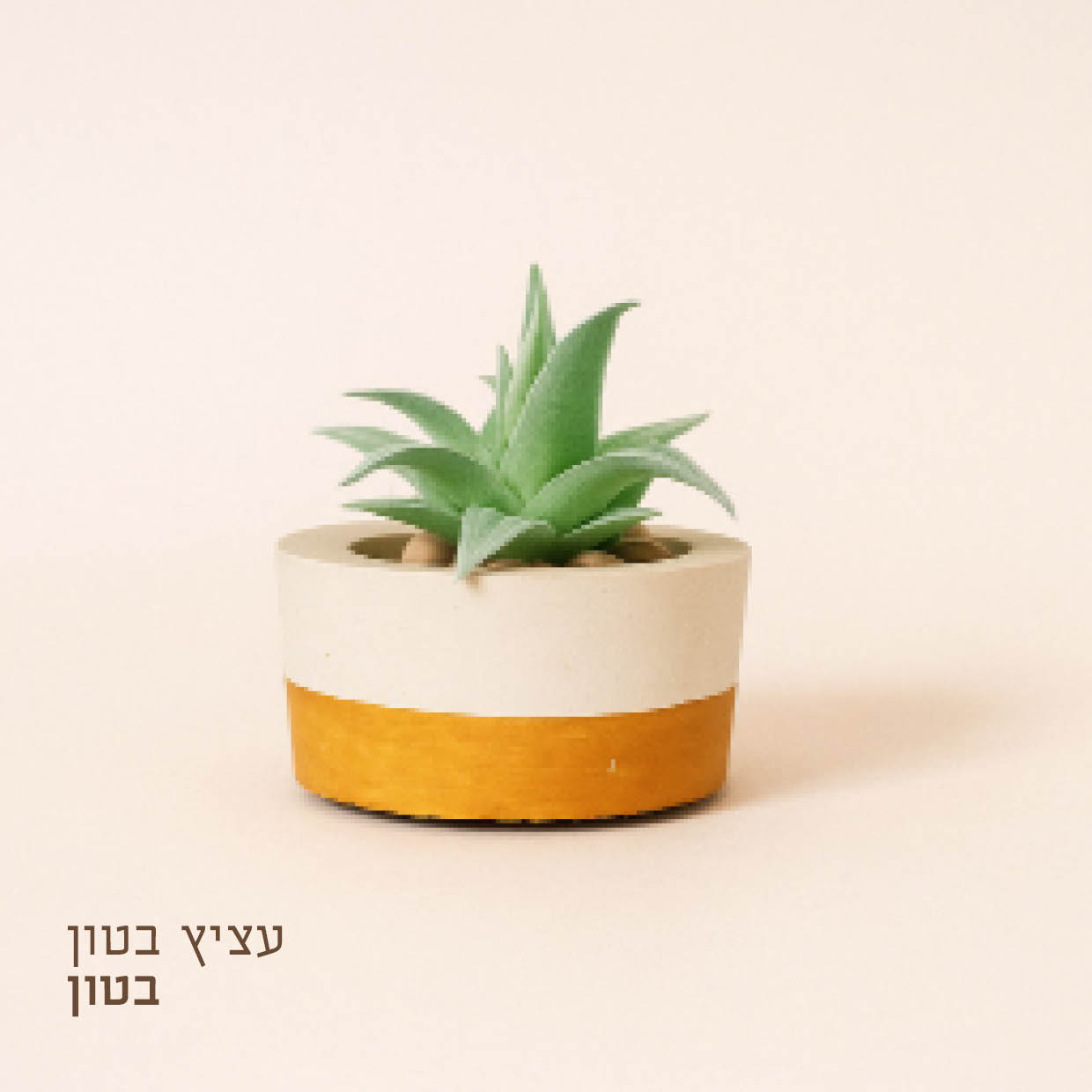 בסיס תמונות לאתר8.jpg