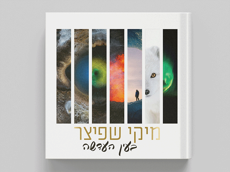בעין-העדשה-מיקי-שפיצר.gif