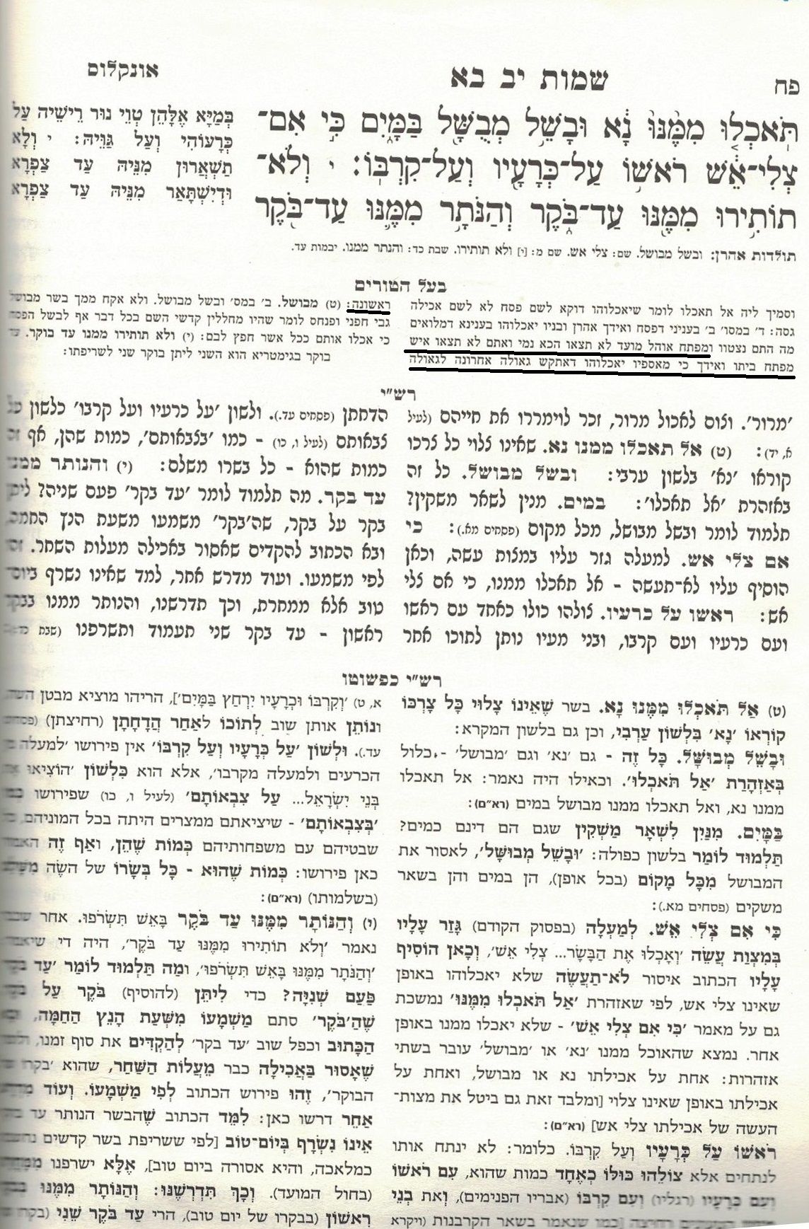 בעל הטורים 001 העתק.jpg