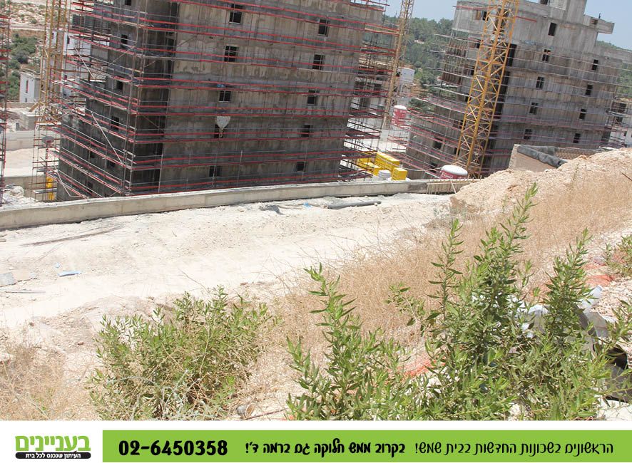 בעניינים רמה ד' 1.784.jpg