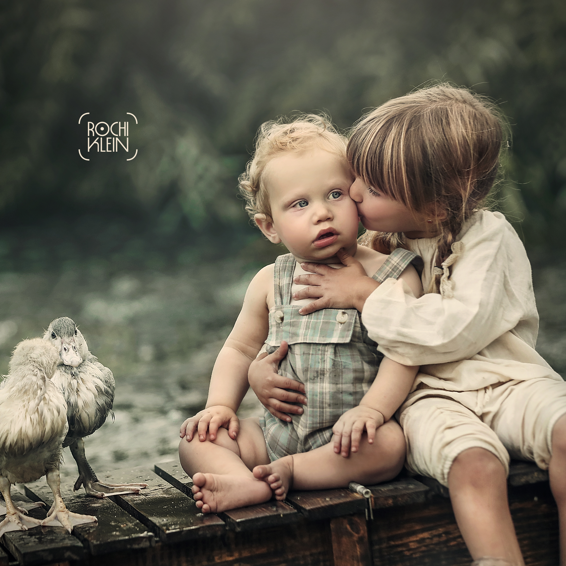 ברווזים 5.jpg