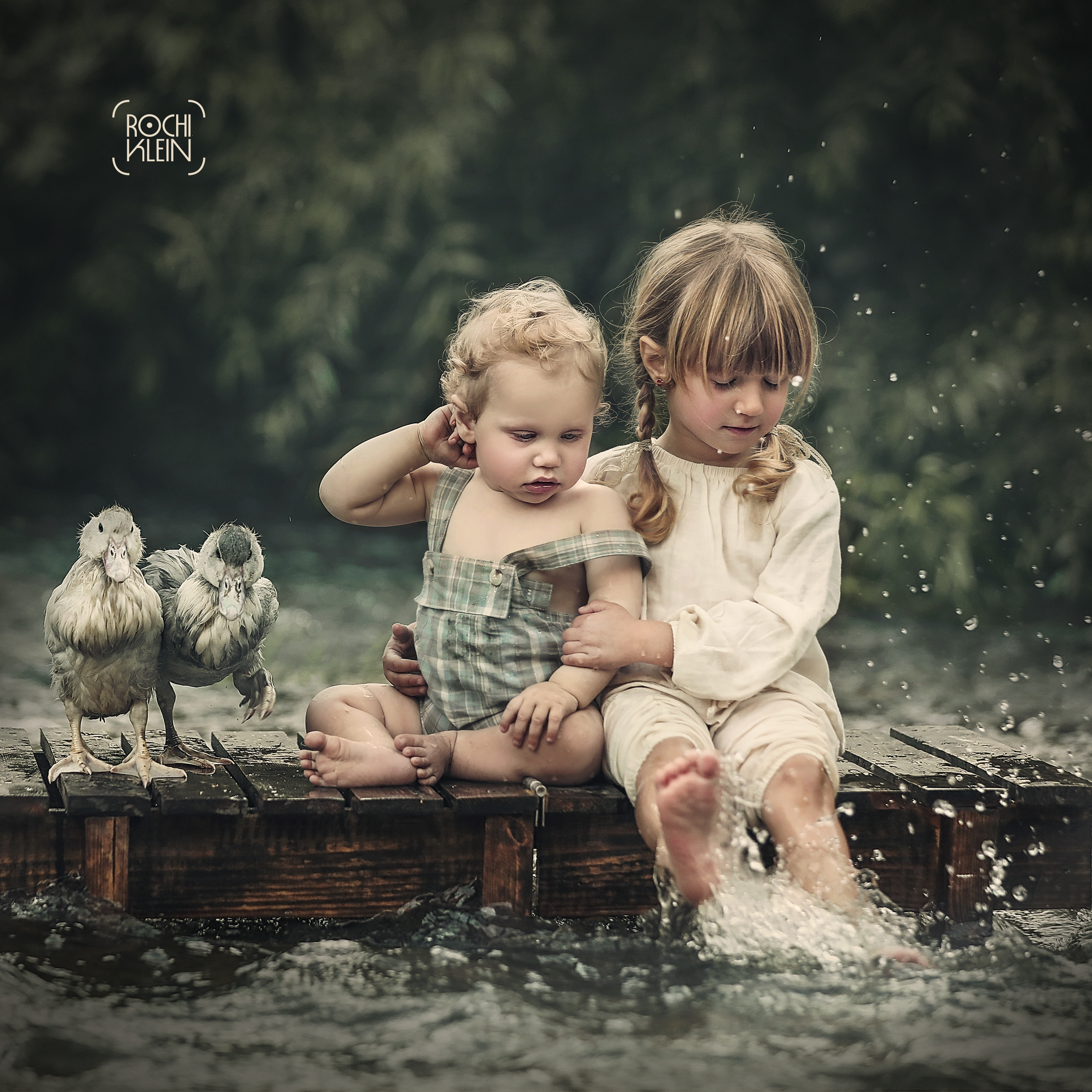 ברווזים 6.jpg